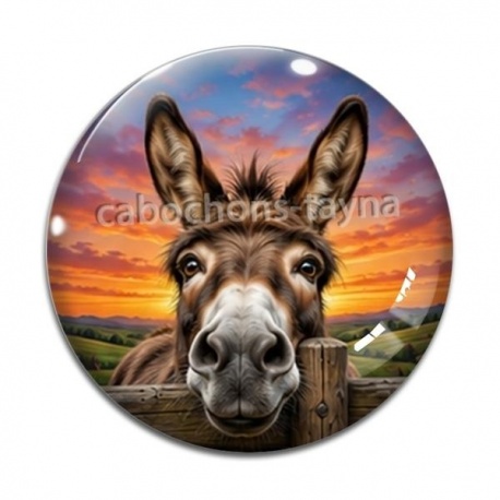 Cabochon Verre - ane