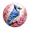 oiseaux