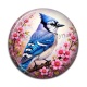Cabochon Résine - oiseaux