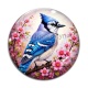 Cabochon Verre - oiseaux