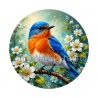 oiseaux