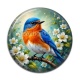Cabochon Résine - oiseaux