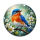 Cabochon Verre - oiseaux