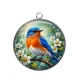 Pendentif Cabochon Argent - oiseaux