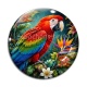 Cabochon Verre - perroquet