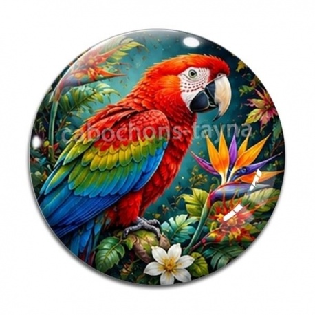 Cabochon Verre - perroquet