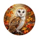 hibou