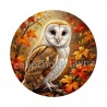 hibou