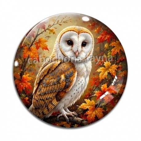 Cabochon Verre - hibou