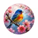 oiseaux