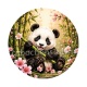 panda