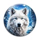 Cabochon Verre - loup