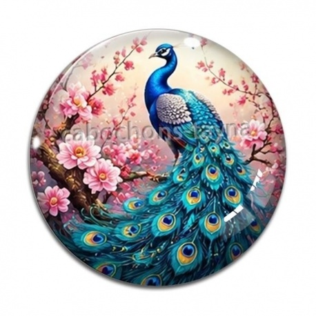 Cabochon Verre - paon