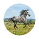  cheval