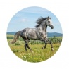  cheval
