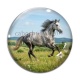 Cabochon Verre -  cheval