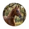 cheval