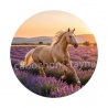  cheval
