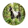  cheval