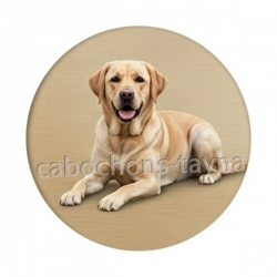 chien