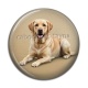 Cabochon Résine - chien