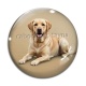 Cabochon Verre - chien