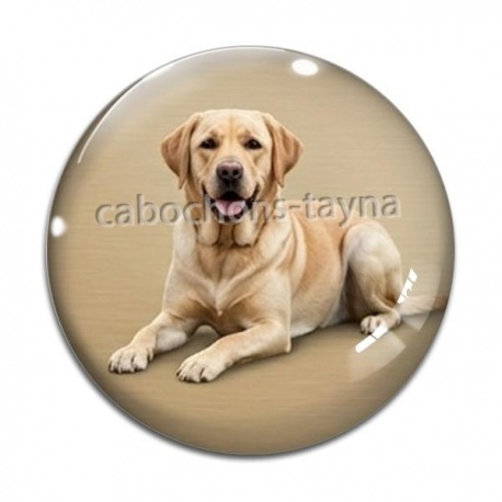Cabochon Verre - chien