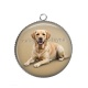 Pendentif Cabochon Argent - chien