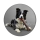 chien
