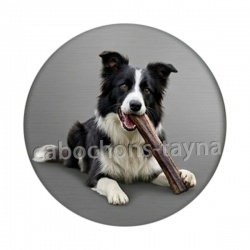 chien