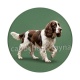 chien