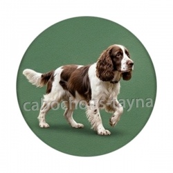 chien