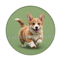chien