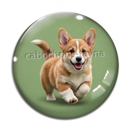 Cabochon Verre - chien