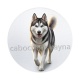 chien