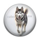 Cabochon Résine - chien