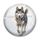 Cabochon Verre - chien