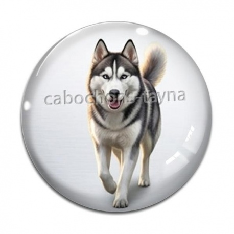 Cabochon Verre - chien