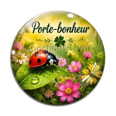 Cabochon Verre - porte bonheur