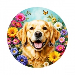 chien