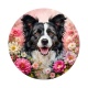chien