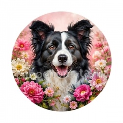 chien