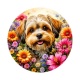 chien