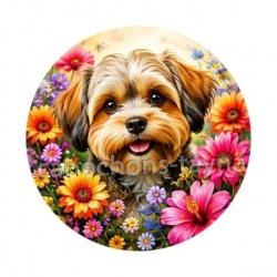 chien