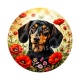 chien
