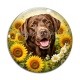 Cabochon Verre - chien