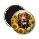 Magnet's - chien