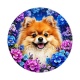 chien
