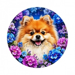 chien
