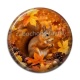 Cabochon Résine - écureuil 